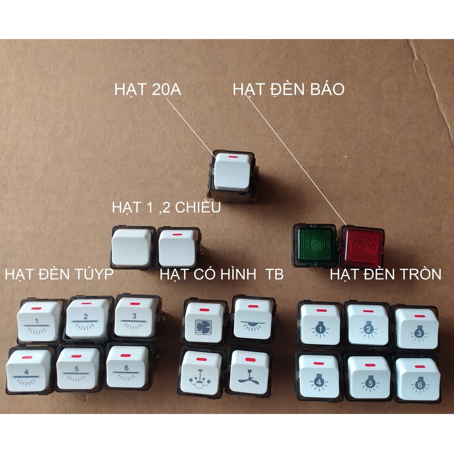 HẠT CÔNG TẮC VUÔNG 2 CỰC 20A LiOA