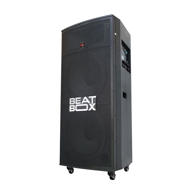 Dàn Âm Thanh Di Động ACNOS KB63S