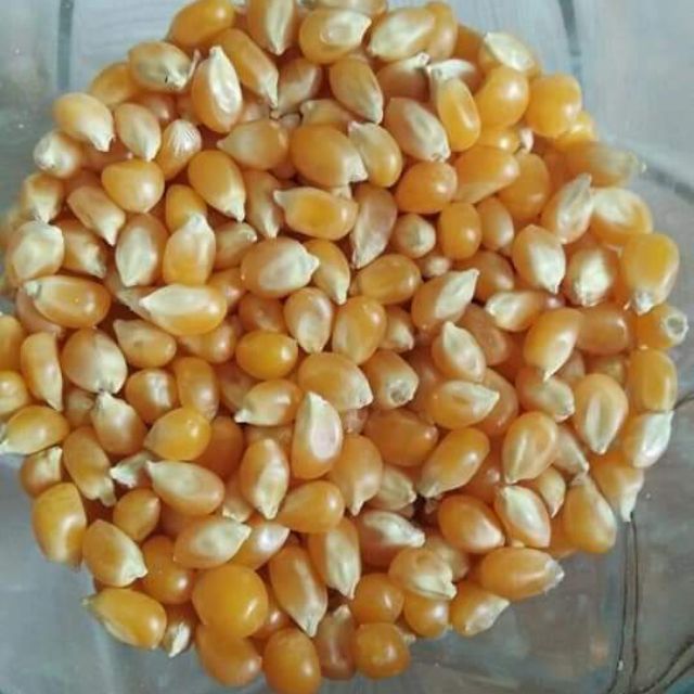 baphatcantho