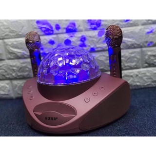 Loa hát karaoke bluetooth SPRD SD-308