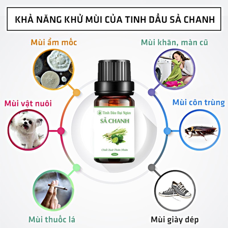 Tinh dầu sả chanh thơm xông phòng hương thiên nhiên 10ml Đại Ngàn