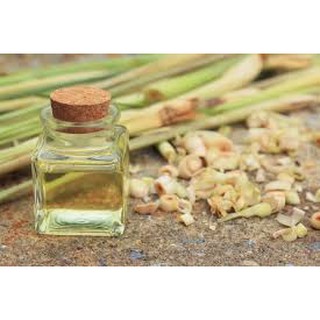 tinh dầu sả chanh nguyên chất 10ml