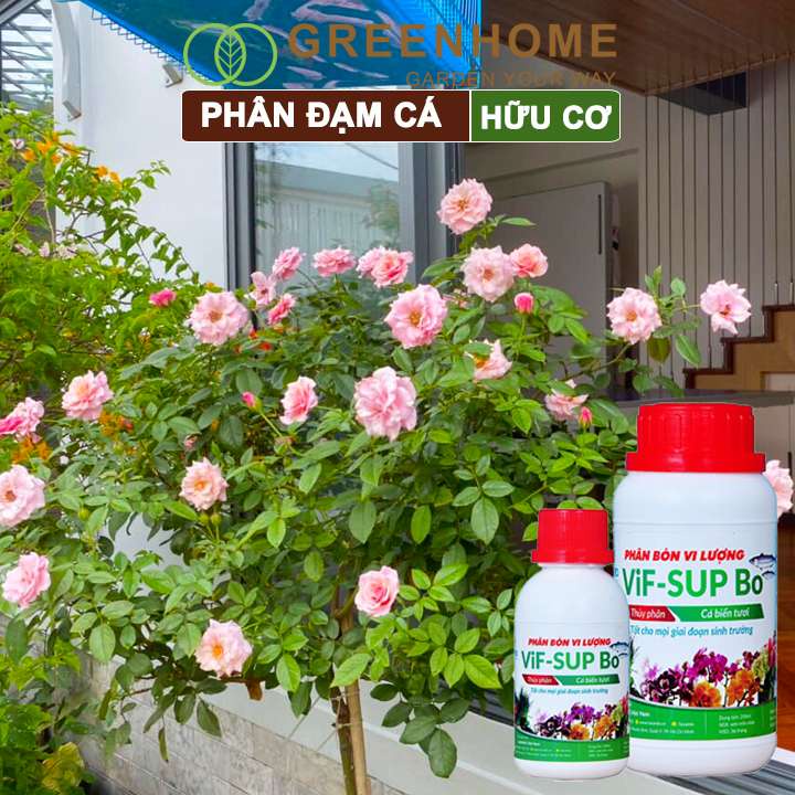 Phân đạm cá minro Greenhome, chai 100ml, hữu cơ giúp thân, rễ cây khoẻ, siêu chồi và hoa