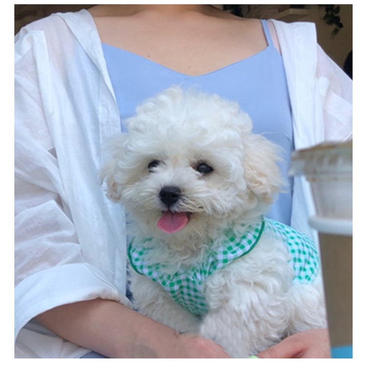 Áo 2 dây hoa nhí cho chó mèo