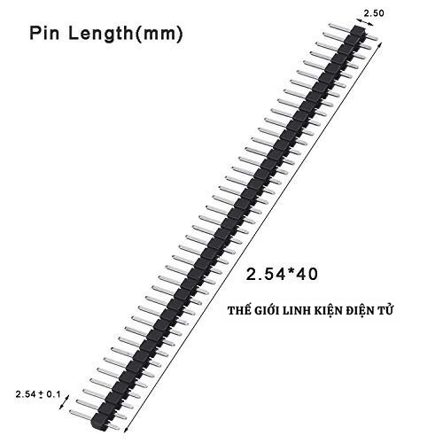 Hàng Rào Đực - Cái, Chân Thẳng, Chân Cong, 40 Pin