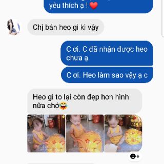 Heo mắt híp tiết kiệm - size Đại
