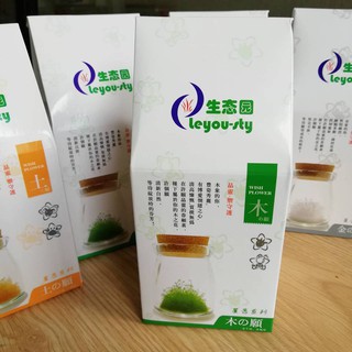 Bình ước nguyện hoa thủy tinh