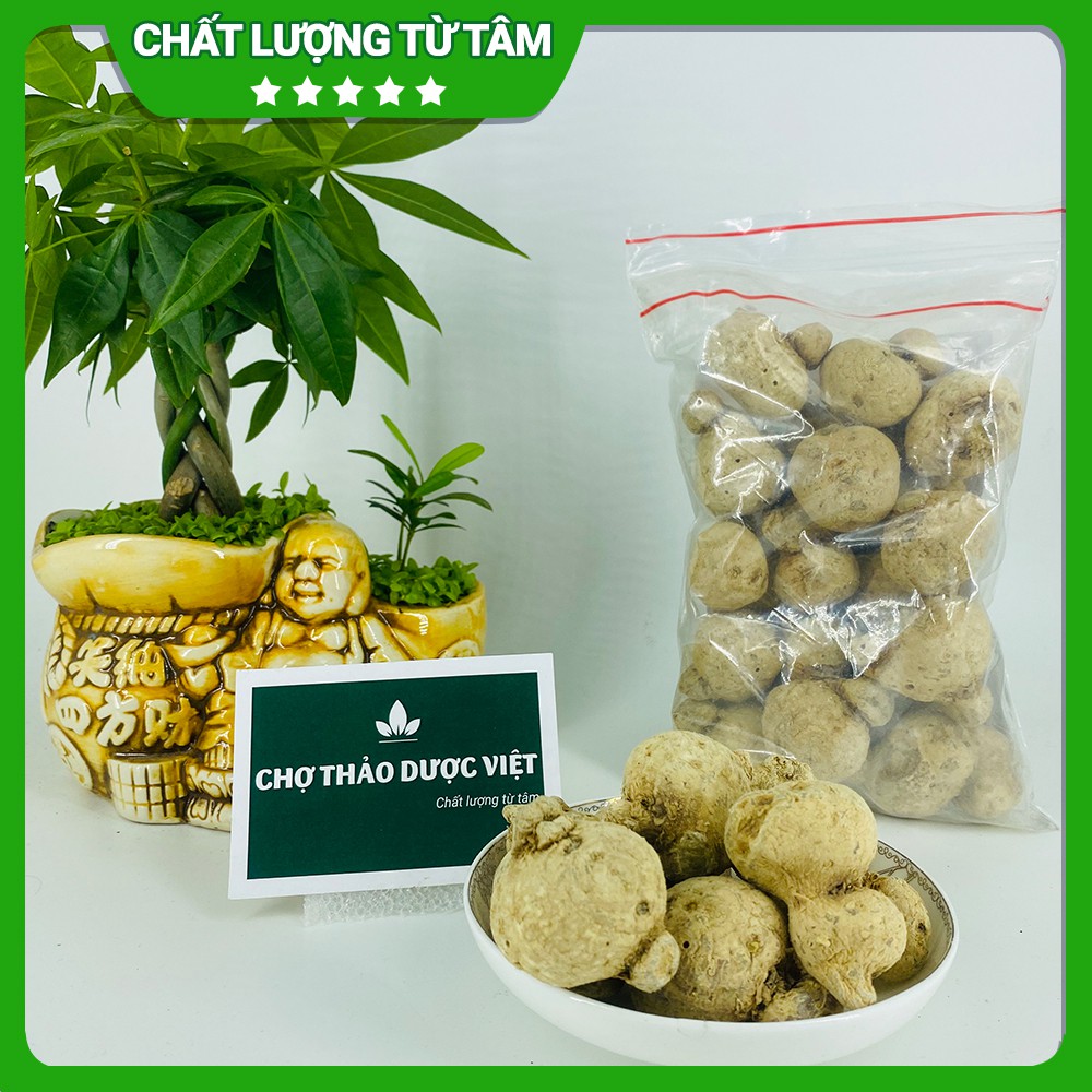 [Giá Sỉ] 2kg Tam Thất Nam (Củ To, Khô, Sạch)