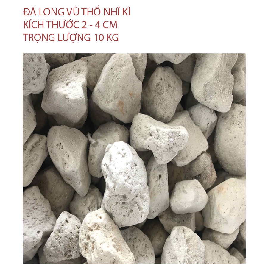 Đá Lông Vũ, Đá Nham Thạch Trắng - Đá Bọt Pumice dùng Lọc Hồ Cá, Làm Giá Thể Cây Cảnh - hàng Turkey-size 2-4cm - Bao 10kg