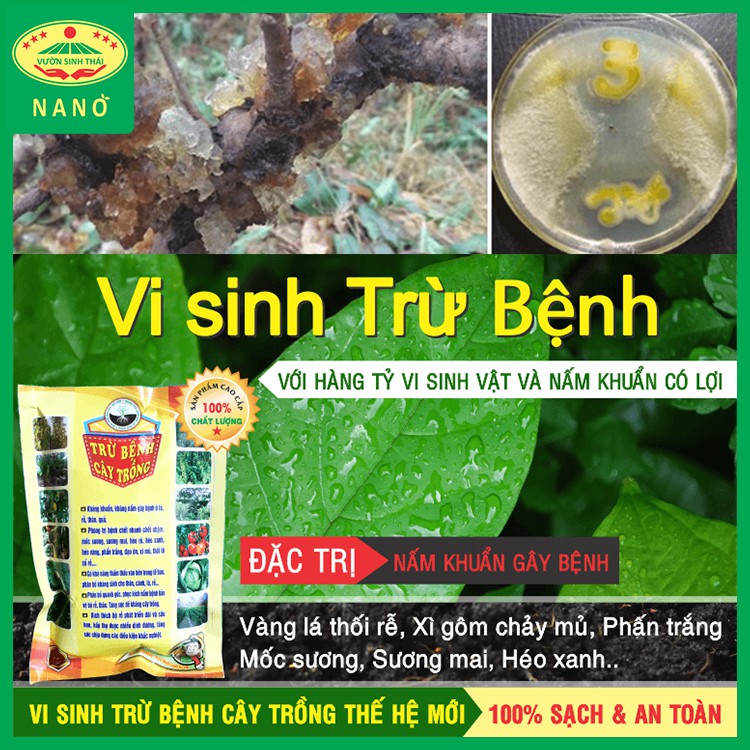 Vi sinh TRỪ NẤM BỆNH trên cây trồng