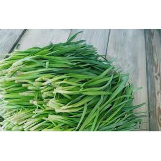 HẠT GIỐNG RAU HẸ TA  5gr