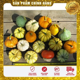 COMBO 12 GÓI HẠT GIỐNG TÍ HON CỰC KUTE