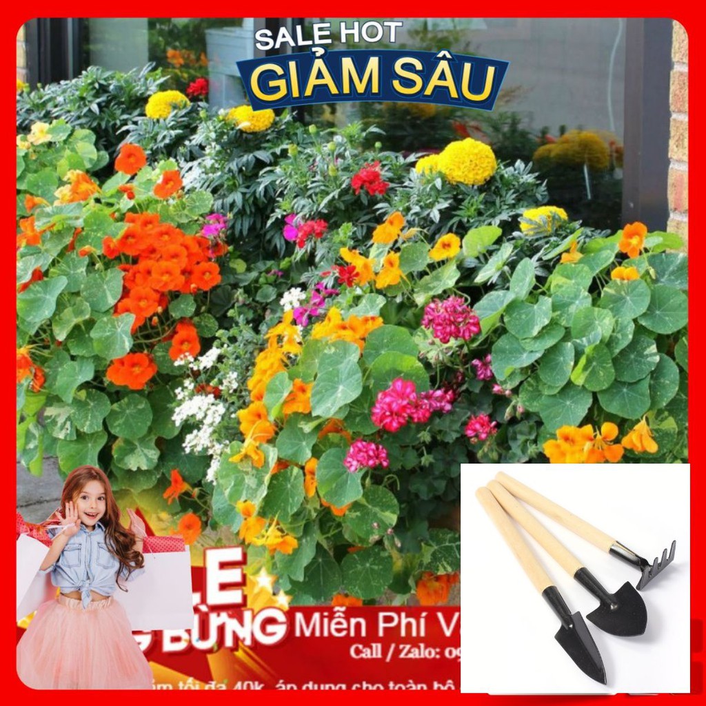 Hạt Giống Hoa Sen Cạn - 5 Hạt / Gói - Tặng Kèm Bộ Dụng Cụ Trồng Cây Mini