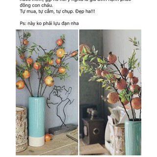 Combo 5 Cành lựu  chưng tết cao 95cm