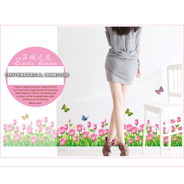 Decal trang trí chân tường - Hoa Hồng Nhạt nhí