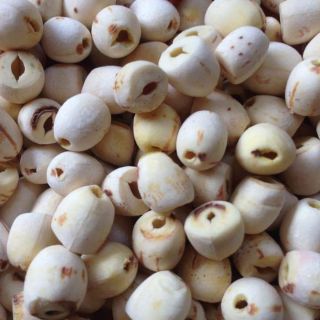[FREESHIP 99K TOÀN QUỐC] Hạt sen khô