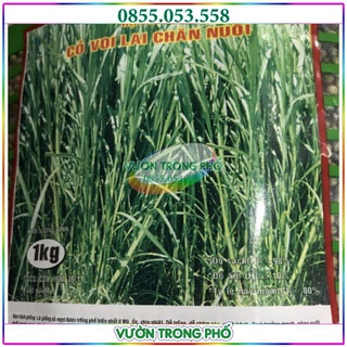 1kg hạt giống cỏ voi lai chăn nuôi