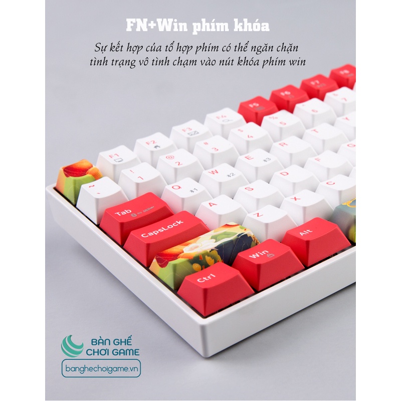 Bàn phím cơ không dây Newmen GM840 Hot Swap Outemu Switch