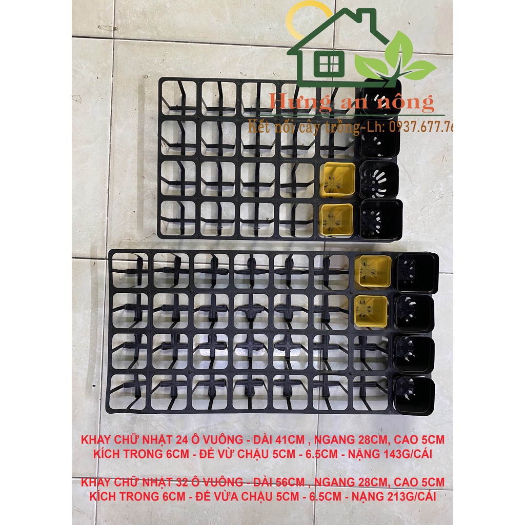 KCNOVL3 - Sét 5 khay chữ nhật 24/32 Ô dùng chứa chậu ươm trồng sen đá xương rồng cây giống