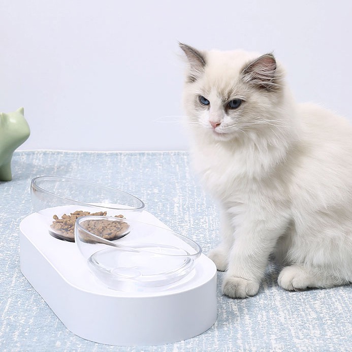 Xiaomi youpin petkit pet bowl cho thú cưng đĩa ăn có thể điều chỉnh đôi cho ăn bát nước cốc cho mèo bát uống bát đồ dùng cho thú cưng