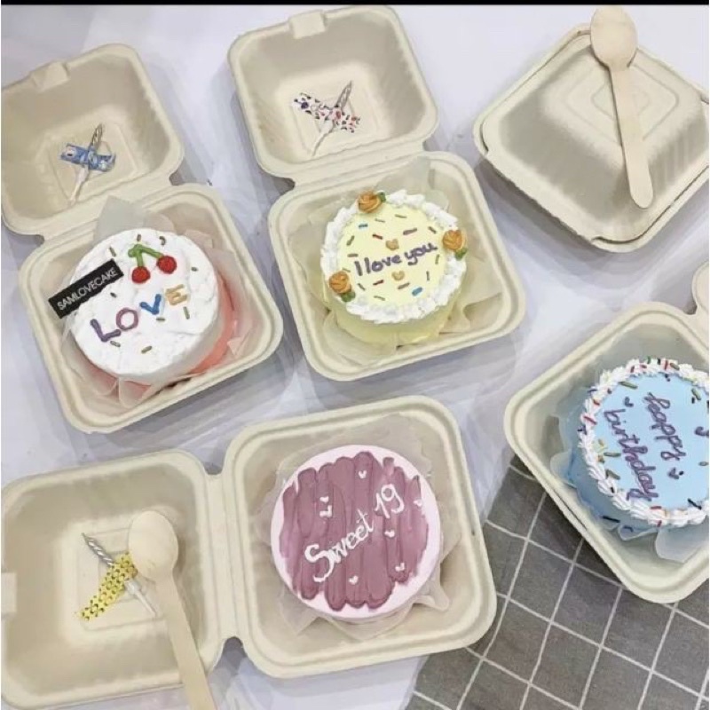 10 Hộp bã mía 15x15x8cm