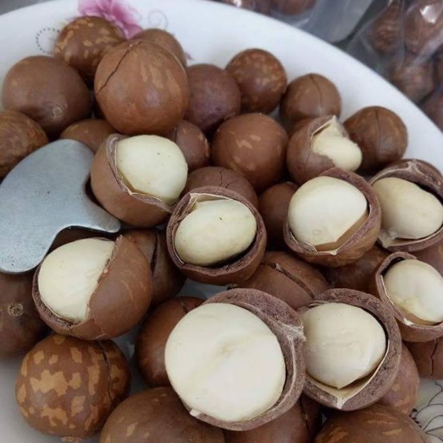 hạt macca lâm đồng