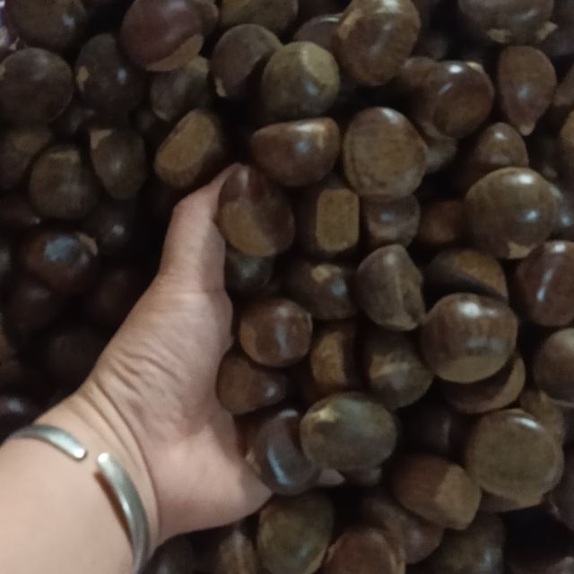 Hạt dẻ 1kg