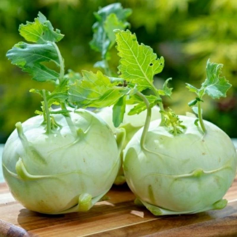 Hạt giống su hào- gói 2gr