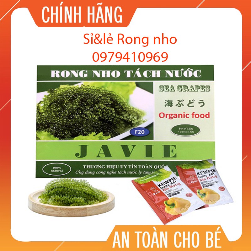 ⚡️𝐅𝐑𝐄𝐄 𝐒𝐇𝐈𝐏⚡️ Rong Nho Tách Nước (hộp 200g/4 gói) JAVIE tặng 2 gói sốt mè. Rong Nho