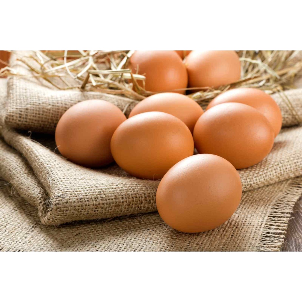 đồ chơi cho bé Giỏ trứng gà nhựa 25 quả trứng gà giả