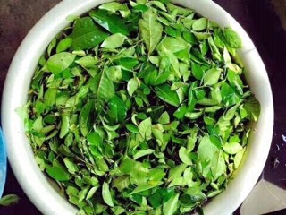 Bột trà xanh nhà làm