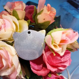 Thẻ tên thú cưng- pet tag