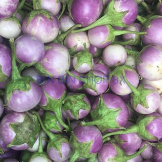 Hạt giống cà pháo tím (2gr)