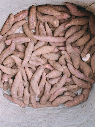 Khoai lang mật Tà Nung