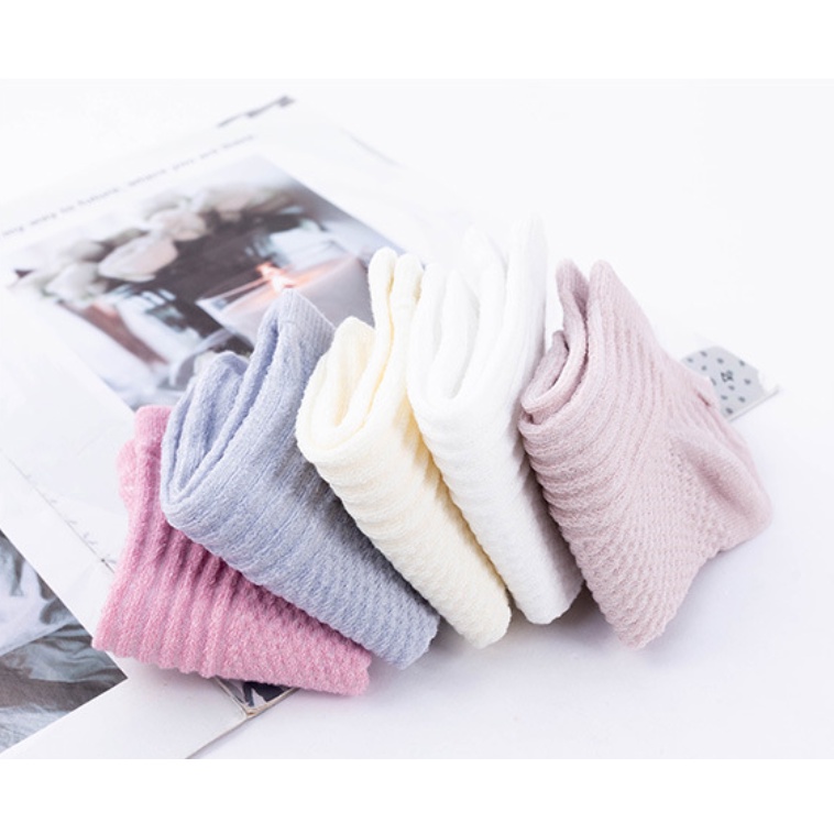 Combo 5 đôi tất nữ cổ ngắn cotton màu trơn phối ren mỏng thoáng