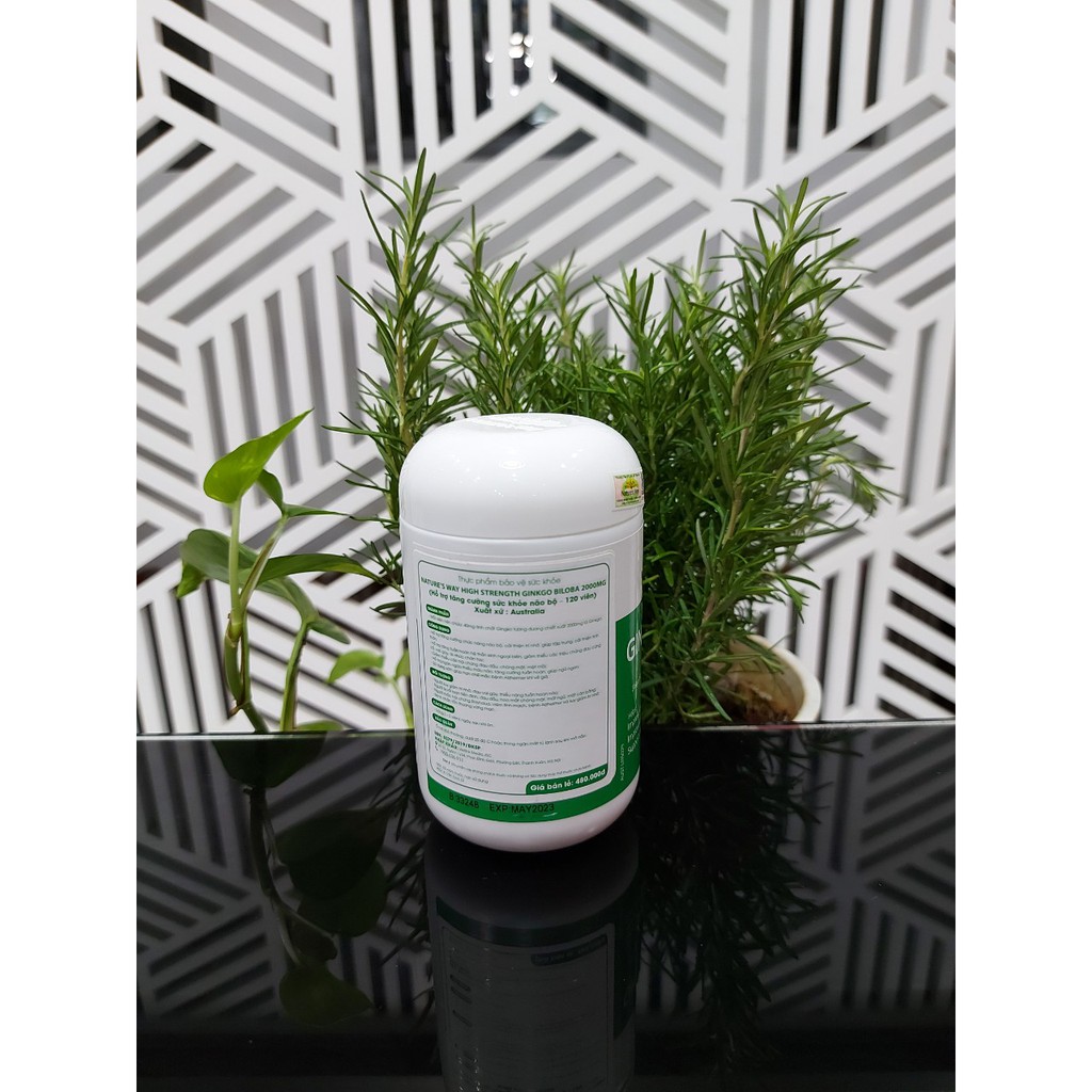 Nature's Way Ginkgo Biloba 2000mg - Viên uống hỗ trợ tăng cường sức khỏe não bộ | BigBuy360 - bigbuy360.vn