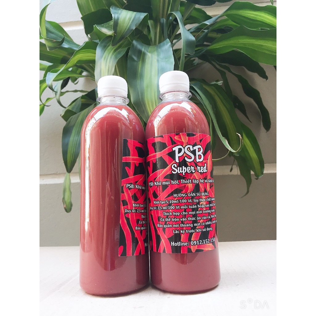 (Cá cảnh- cá Koi) (1000ml)men psb