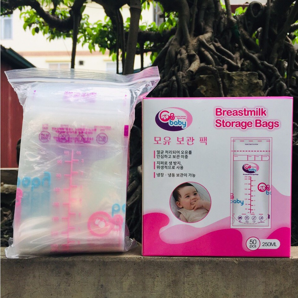 [ Tặng bút ghi chú ] Hộp 50 túi trữ sữa GB Baby Hàn Quốc 250ml
