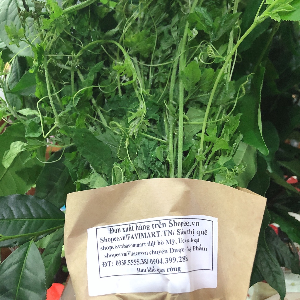 Đọt su + Khổ qua rừng tươi , chính gốc