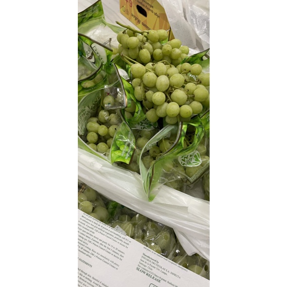 Nho Xanh  Trái Cây Nhập Khẩu