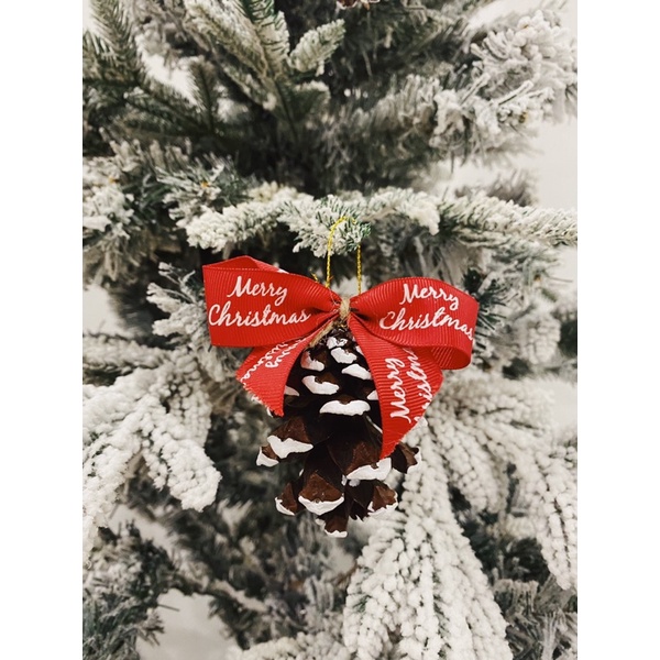 TRÁI THÔNG KHÔ PHỦ TUYẾT/ TRÁI THÔNG TRANG TRÍ