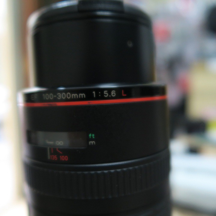 Ống kính Canon EF 100-300 L f5.6 tele dùng cho máy crop và FF canon