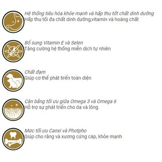 Thức Ăn Vị Thịt Bò Cho Chó - CP Classic 400g