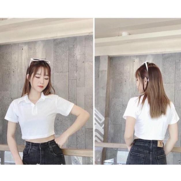 Áo Croptop Polo Basic Dáng Ôm Nhẹ Chất Liệu Thun Mềm 40-45kg Bao Đẹp Chapi CP06 | BigBuy360 - bigbuy360.vn