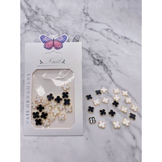 Set charm cao cấp