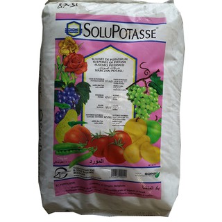 PHÂN BÓN KALI HÀN QUỐC KALI SULFATE GIÚP TO TRÁI LỚN TRÁI_500G & 1KG