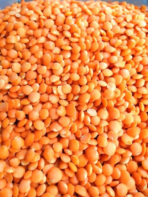 Đậu lăng đỏ hữu cơ