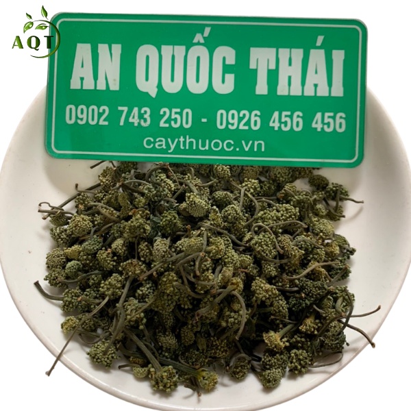 Nụ Tam Thất Bao Tử 100g Loại 1 (Xanh, Non, Thơm), Hoa Tam Thất Pha Trà Ngủ Ngon, Tốt Sức Khỏe | Thảo Dược An Quốc Thái