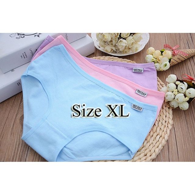 Combo 10 Quần lót cotton trơn Pulo + ren Modal size XL cao cấp