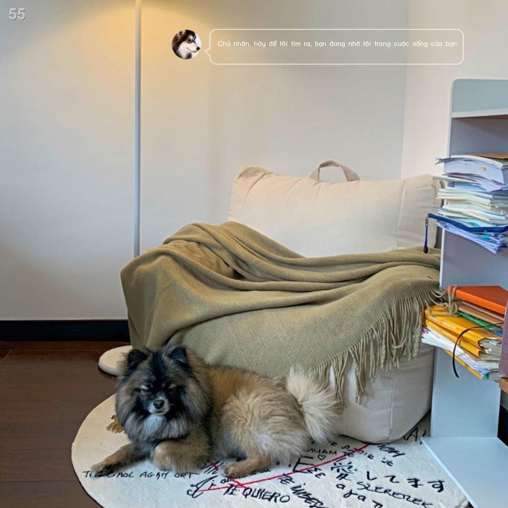 Ghế sofa lười biếng Túi đậu thư giãn sáng tạo Nhật Bản đơn Bắc Âu tựa tatami ban công căn hộ nhỏ nghỉ trưa
